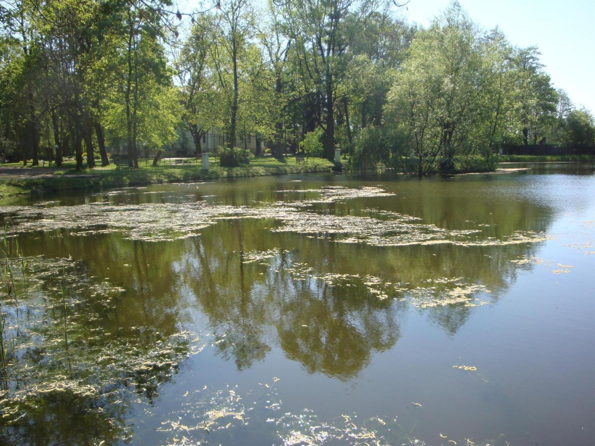 Palac Nieznanice Zabytek Goscinny Ze Spa Bagian luar foto